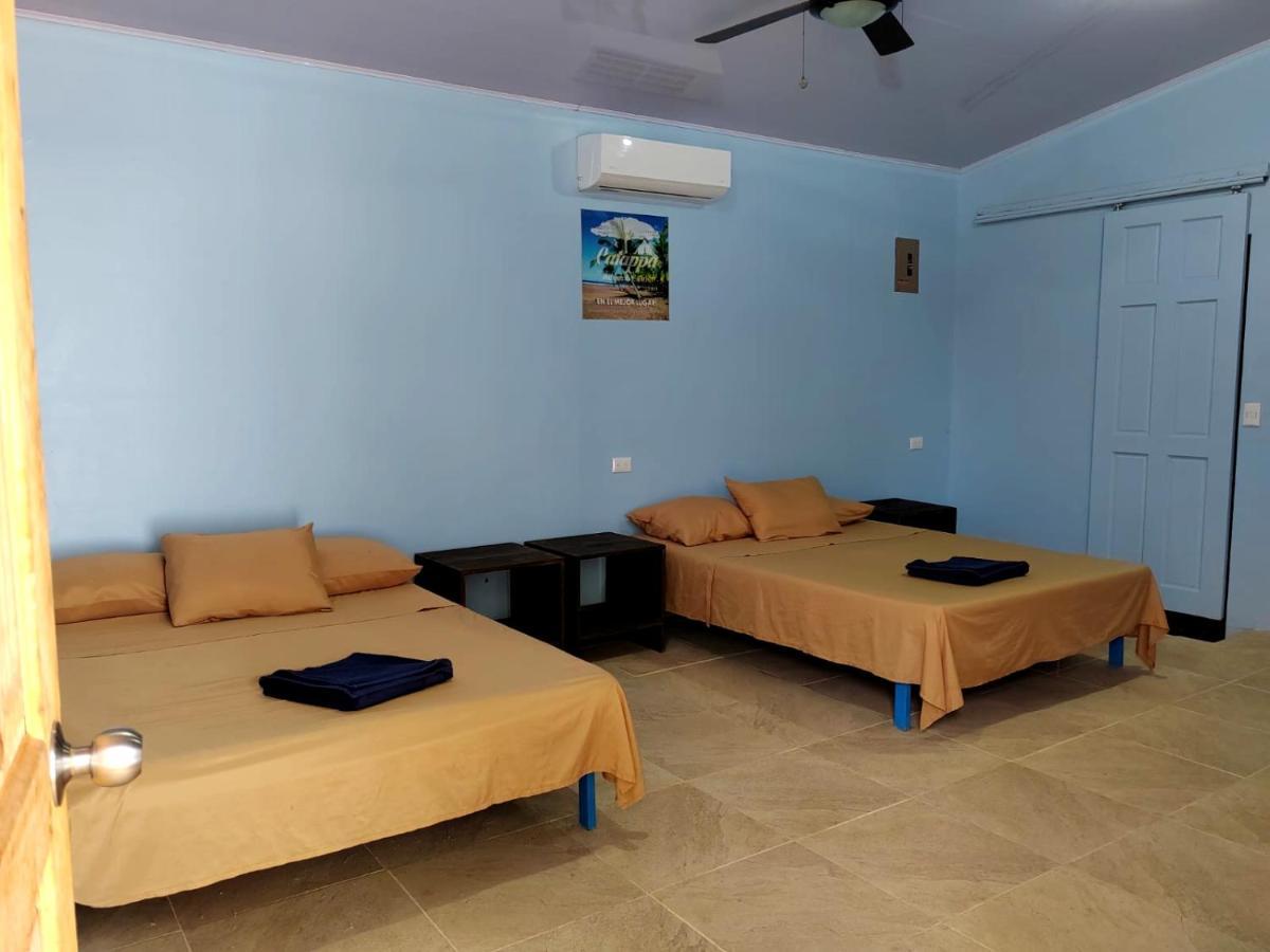 Hotel Catappa Jaco Bagian luar foto