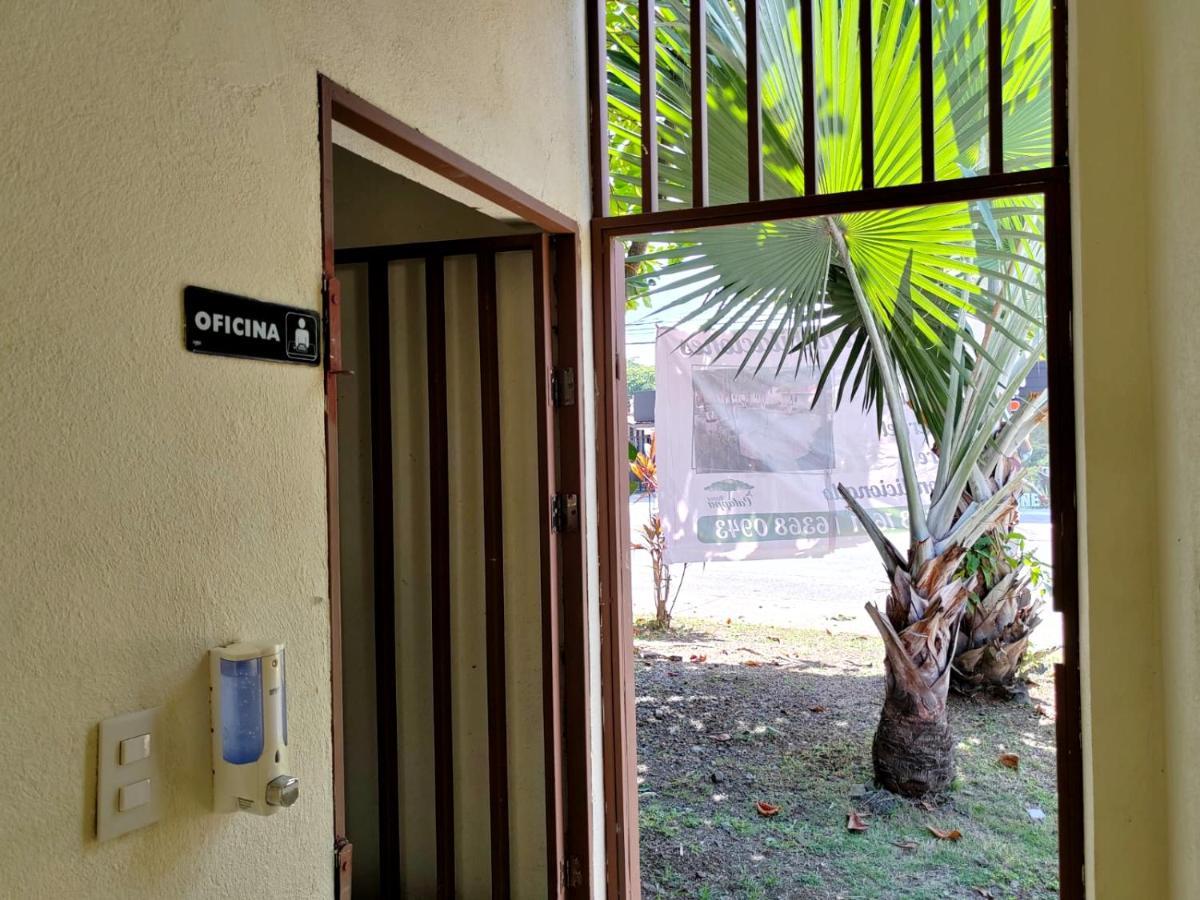 Hotel Catappa Jaco Bagian luar foto