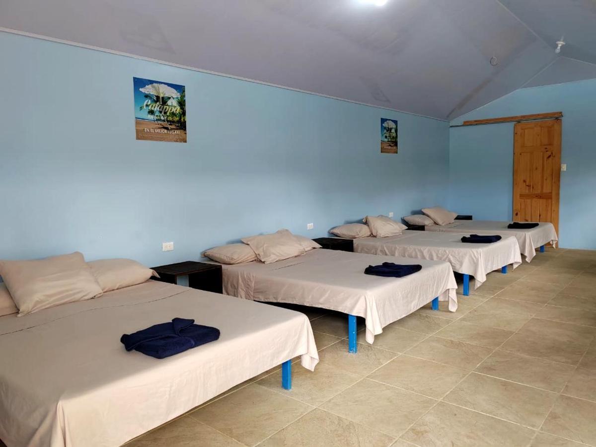 Hotel Catappa Jaco Bagian luar foto